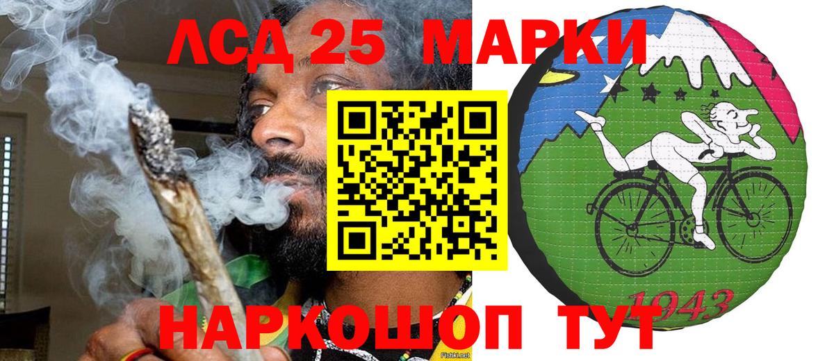 Псилоцибиновые грибы Брянск
