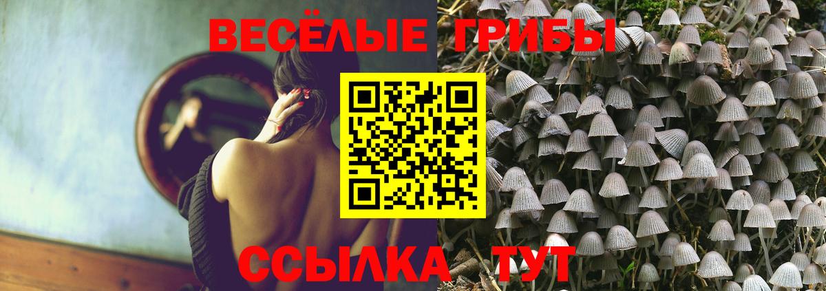 Псилоцибиновые грибы Magic Shrooms Брянск