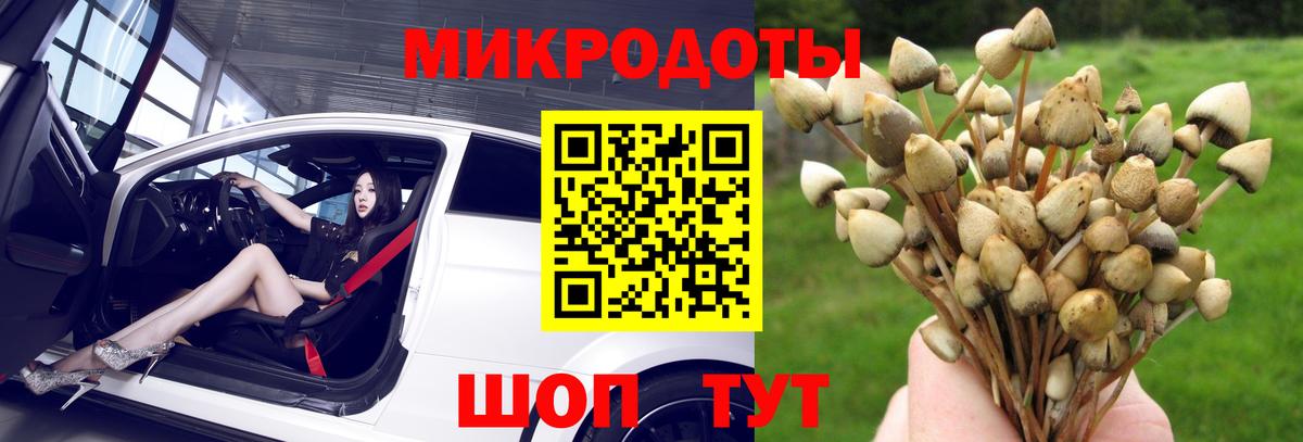 Псилоцибиновые грибы прущие грибы  Вход с VPN  Брянск 